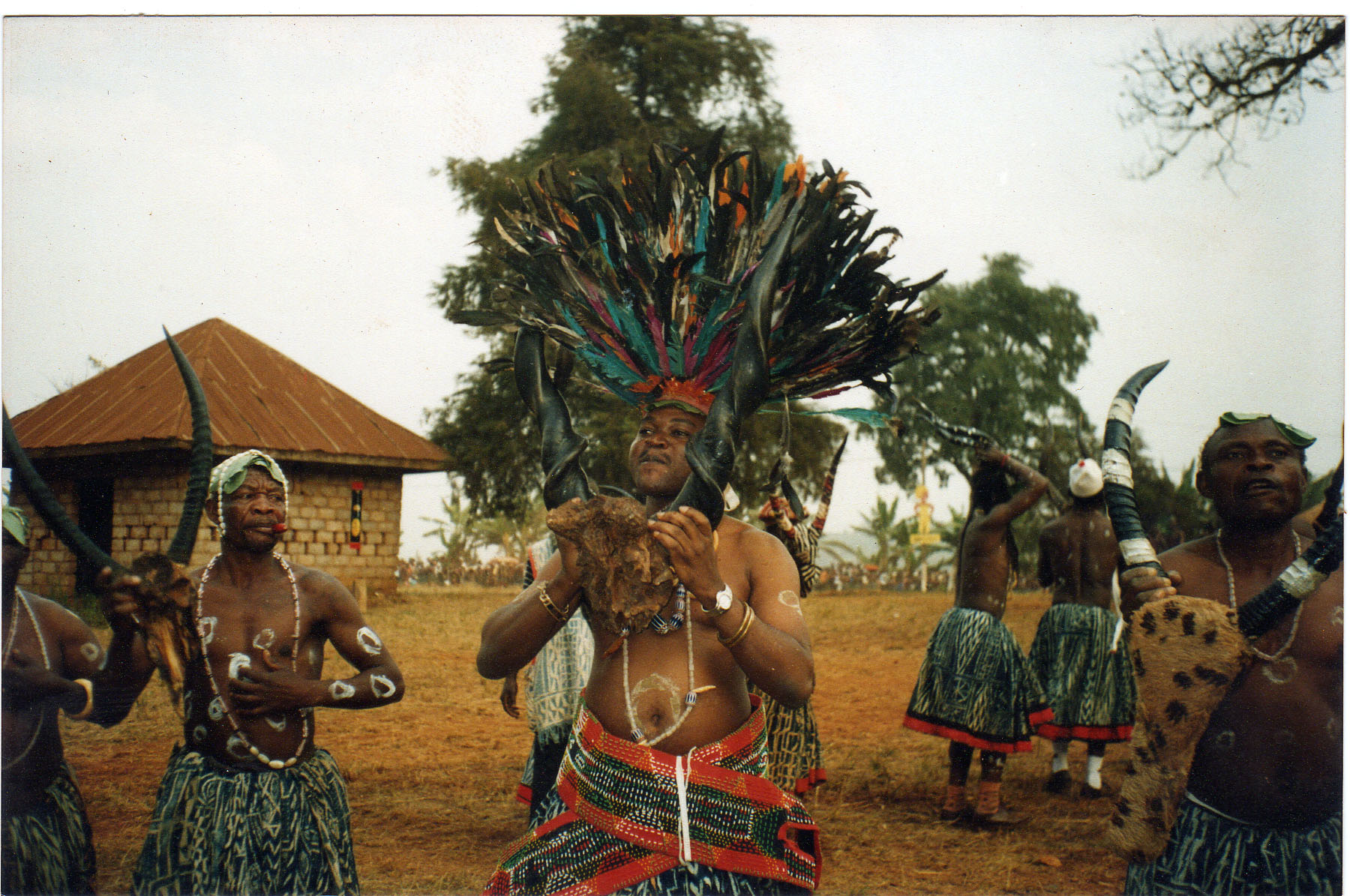 Image 4